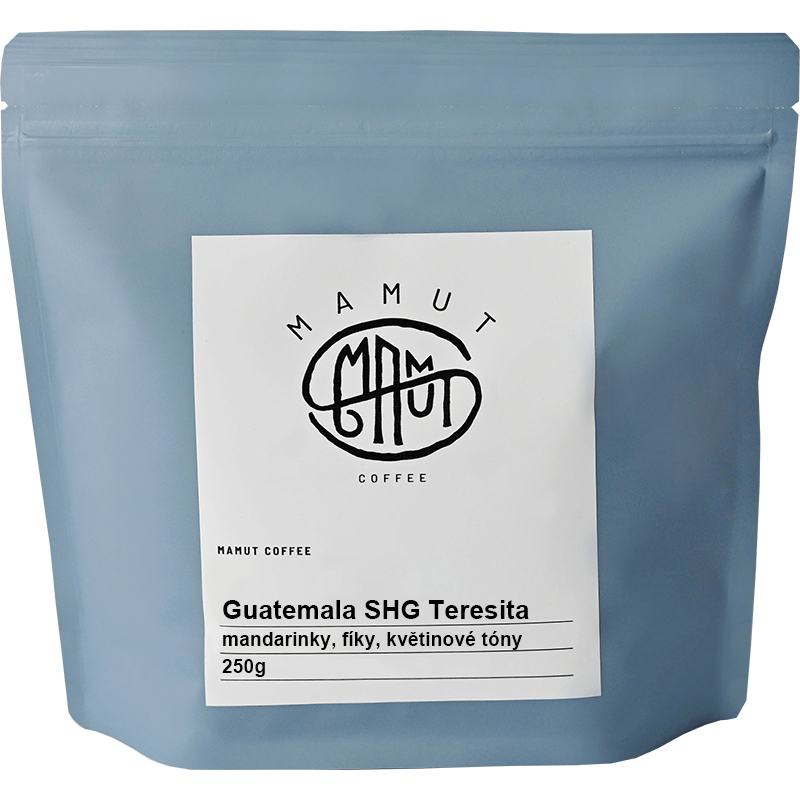 Guatemala SHG Teresita 250g